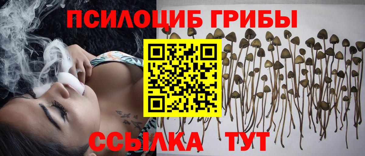 купить   Псилоцибиновые грибы Psilocybine cubensis  Вход с VPN  Учалы  Псилоцибиновые грибы Magic Shrooms 